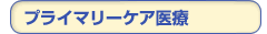 �v���C�}���[�P�A���